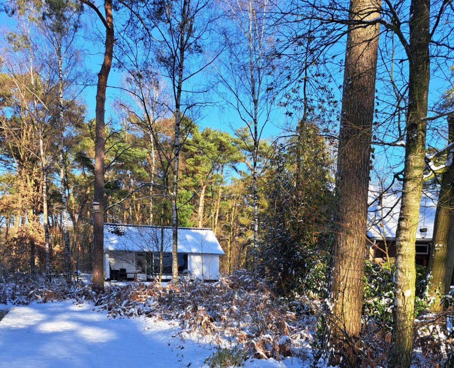 Bungalow, Vrijstaand, Het Vosseven Nr 38 Stramproy Extérieur photo