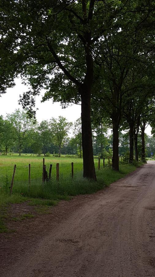 Bungalow, Vrijstaand, Het Vosseven Nr 38 Stramproy Extérieur photo